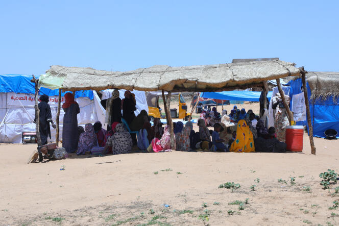 In a refugee camp near Adré, Chad, August 14, 2023.