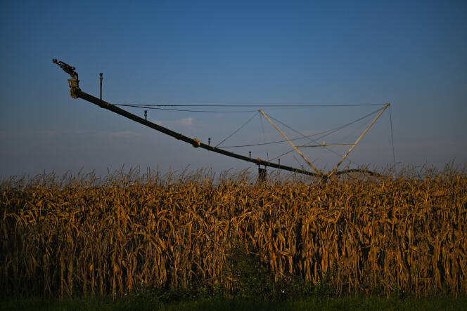 A corn field and its watering system to counter the effects of drought, near Lyon, October 3, 2023.