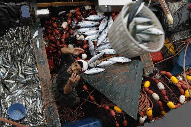 A Moroccan fisherman at the port of Agadir, in 2011.