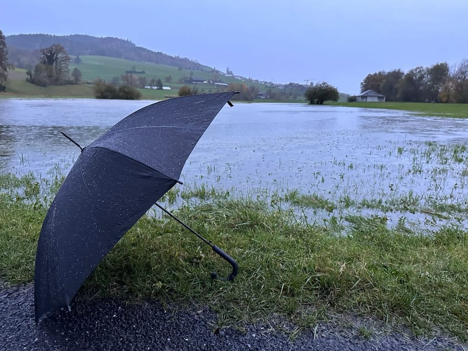 An umbrella in front of a “new lake”.