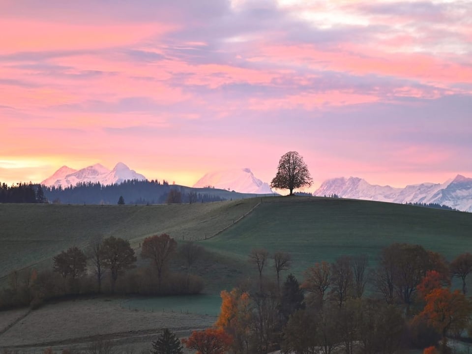 Morning mood in the Emmental  