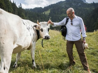 Berset holds the horn of a free-roaming cow.