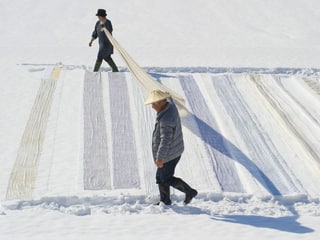 A couple lays down long lengths of textile in the snow.  This is intended to clean the noble kimono fabric.  The village of Shiozawa in Niigata Province is known as one of the best manufacturers of kimonos.