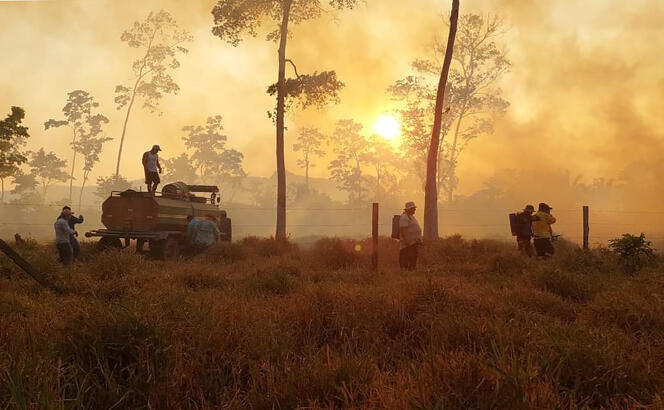 Volunteers and firefighters battle fires that grew out of control as forests and pastures burned for agricultural purposes around Rurrenabaque, Beni department, Bolivia, October 26, 2023.