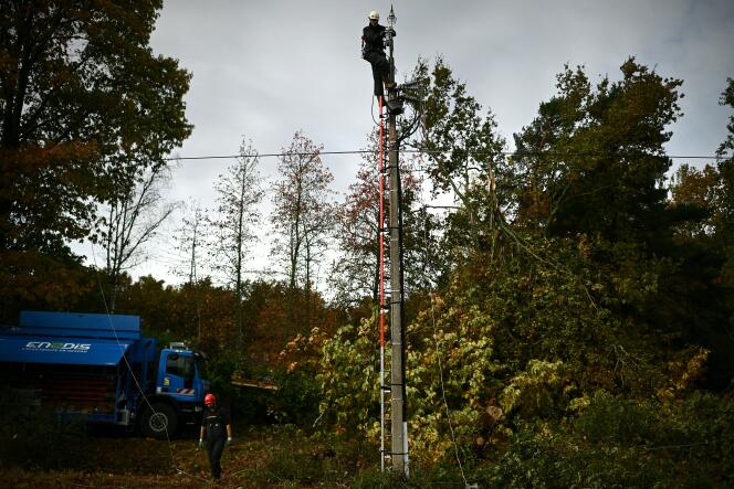 An Enedis technician repairs a power line damaged by falling trees during storm Domingos, in Salleboeuf (Gironde), November 7, 2023.