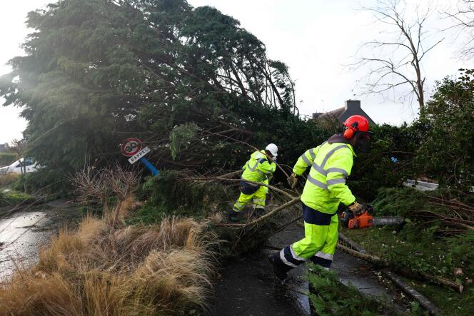 Municipal employees cut and move fallen trees on Île-Tudy (Finistère), November 2, 2023.