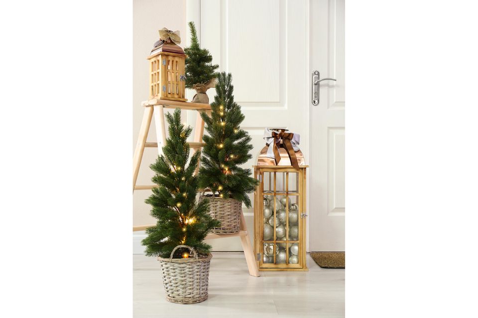 Christmas in a small space: small fir trees in a basket