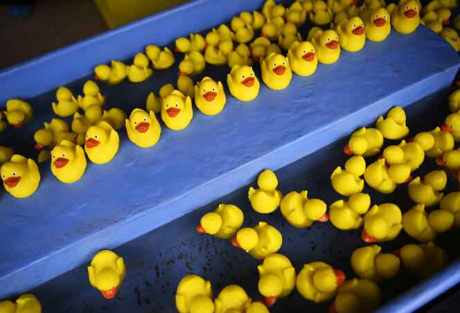 Plastic ducks in Margate, United Kingdom, June 19, 2015.