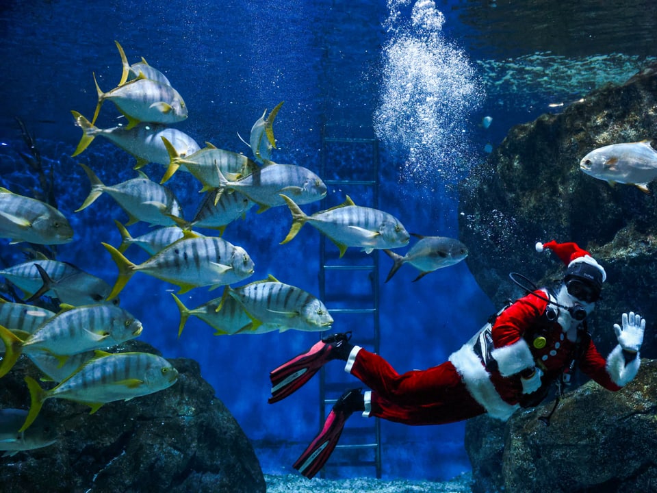 A man dives wearing a Santa Claus costume.