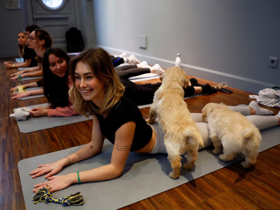 A woman lies on a yoga mat and two puppies stand on her legs.