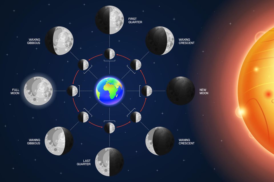 Diagram of the eight phases of the moon
