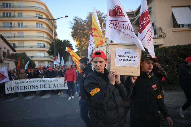 During a demonstration by winegrowers from the south of France to demand state aid in the face of the crisis in the sector, in Narbonne (Aude), November 25, 2023. 
