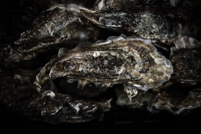Oysters in La Teste, December 1, 2020.