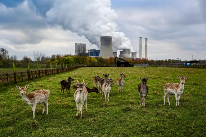 Near the lignite-fired power plant operated by RWE in Niederaussem (Germany), November 28, 2023. 