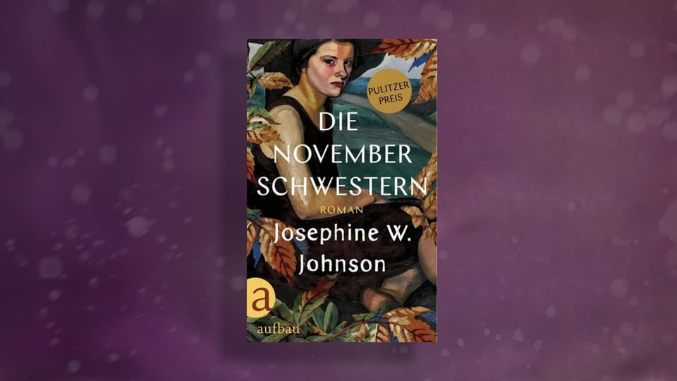 Book cover of Jospehine W. Johnson's “The November Sisters”.