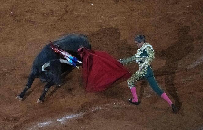 Mexican bullfighter Diego Silveti at the Monumental Plaza de toros Mexico, in Mexico City, January 28, 2024. 
