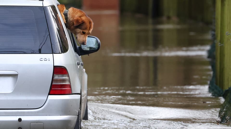 A dog looks out of a vehicle driving on a flooded road after a storm in England.