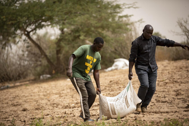 Two farmer brothers carry bags of organic fertilizer, in Mboro, western Senegal, March 13, 2023.