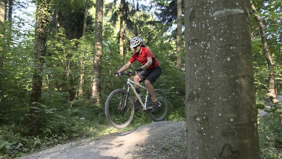 A mountain biker rides on a gravel road through the forest