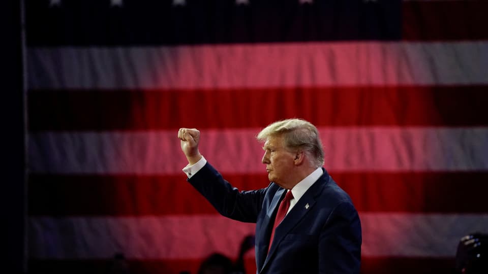 Donald Trump holds his fist in the air in front of a huge US flag.