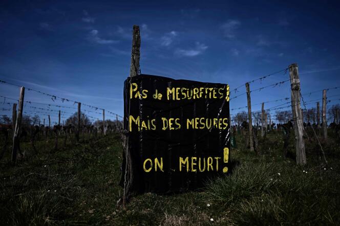 In a vineyard in Calignac, near Agen, on February 14.