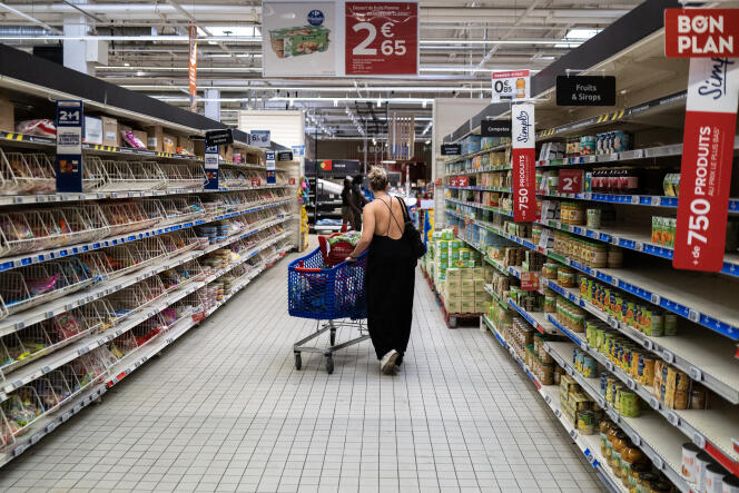 A woman does her shopping in a supermarket in Toulouse, September 4, 2023. 