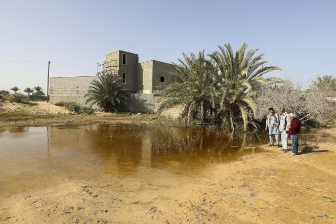 Flooded land in Zliten due to rising water tables, February 13, 2024.