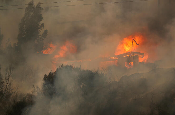 Houses on fire in Viña del Mar, Chile, February 3, 2024.