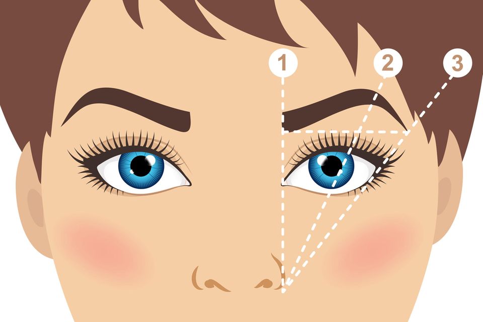 Shaping eyebrows: instructions for measuring the perfect eyebrows