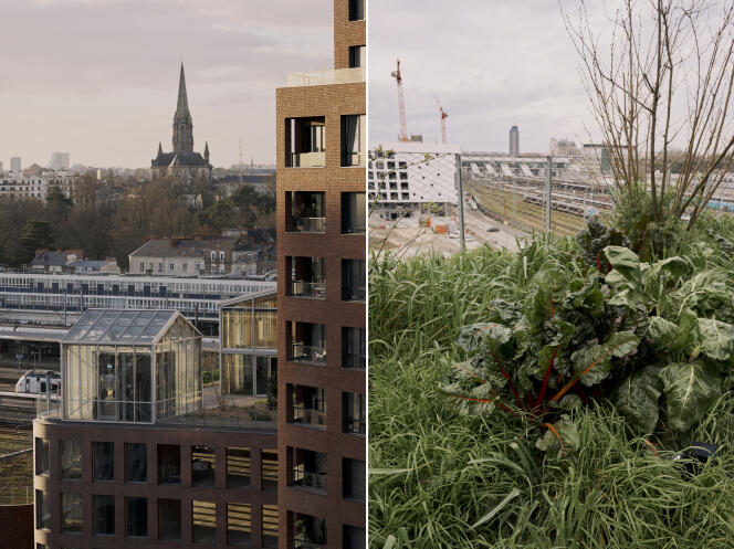 Left: in the foreground, the Freia restaurant, established in a greenhouse surrounded by an urban garden, on top of a parking lot.  Right: the flowerbeds surrounding the greenhouse and overlooking Nantes station.