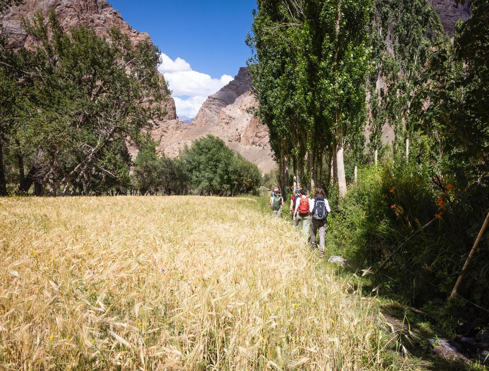 Ladakh: Wandern