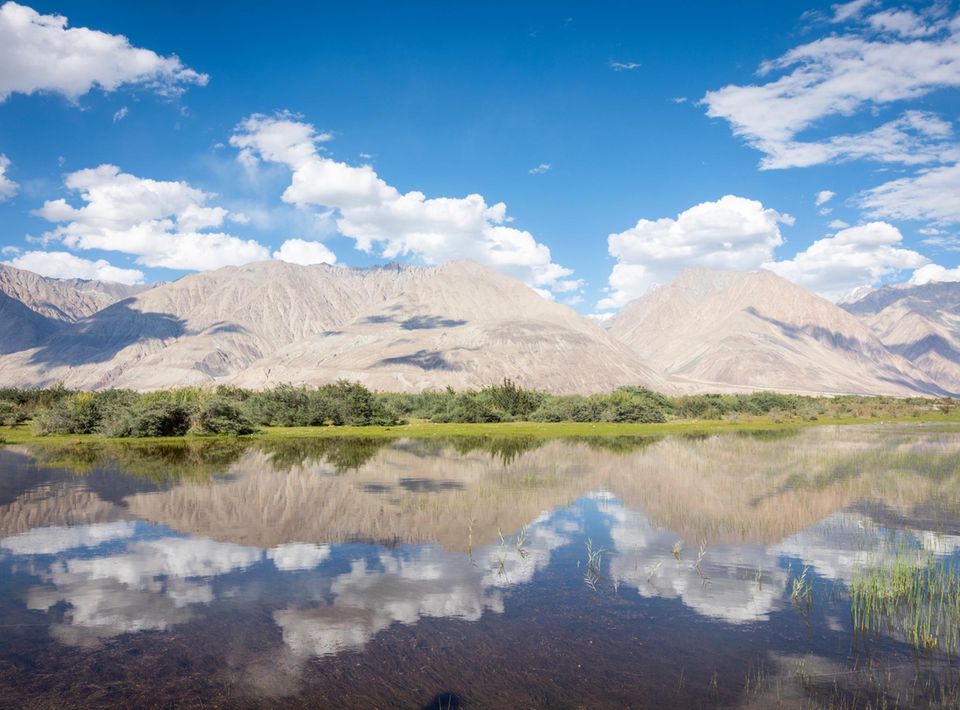 Ladakh: gespiegelte Berglandschaft