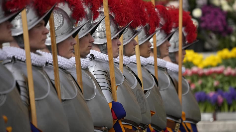 Row of Swiss Guards.  Flowers in the background.