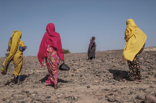Women displaced in 2022 in the village of Silse, about a hundred kilometers from Semera, in the Afar region (Ethiopia), where the war between the central power and the rebel province of Tigray has spread. 