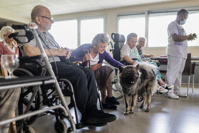 Residents of the Le Sablonat nursing home, in Bordeaux, during a workshop with a dog, June 16, 2022.