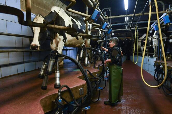 On a dairy farm in Servon-sur-Vilaine (Ille-et-Vilaine), March 14.