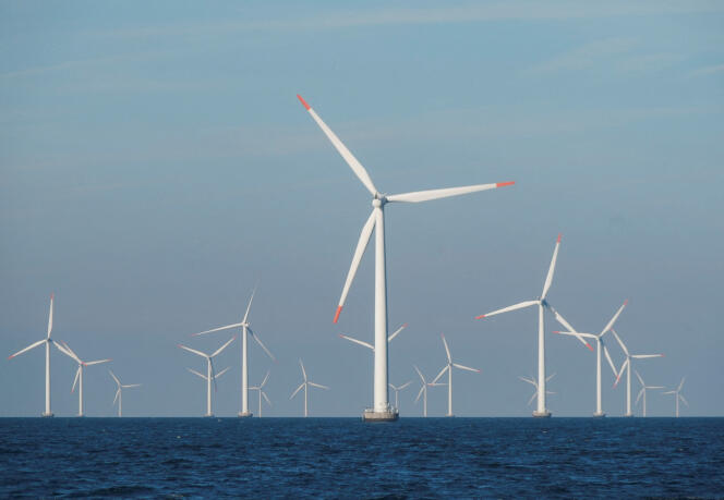 An offshore wind farm near Nysted, Denmark, September 4, 2023.