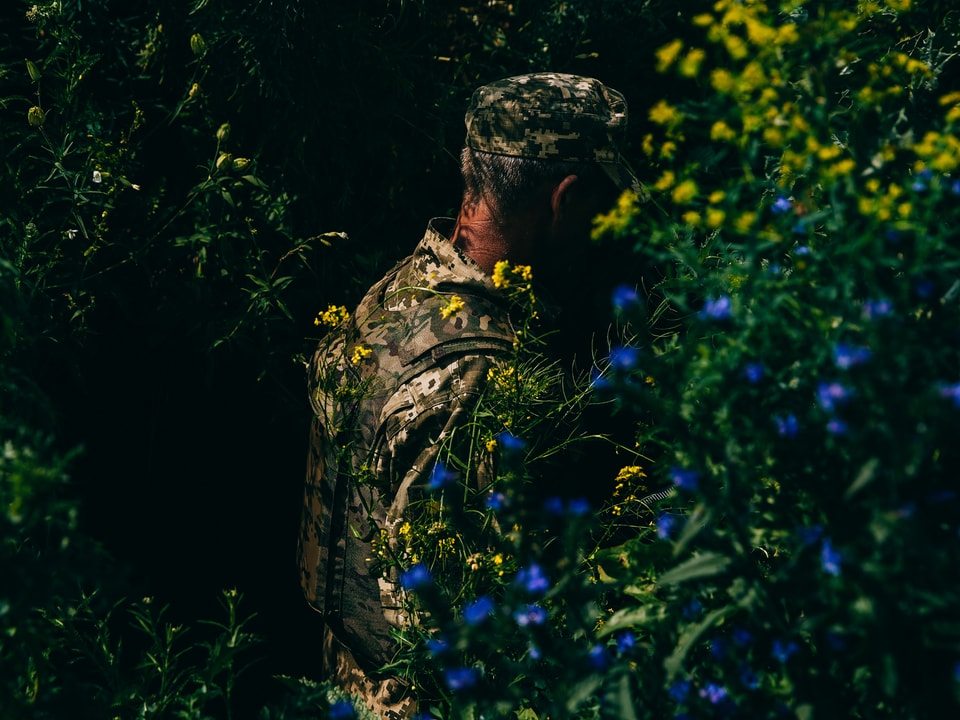 Soldier in the bushes, yellow and blue flowers.