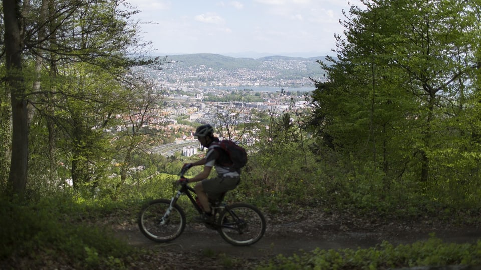 Mountain bike trail in Zurich